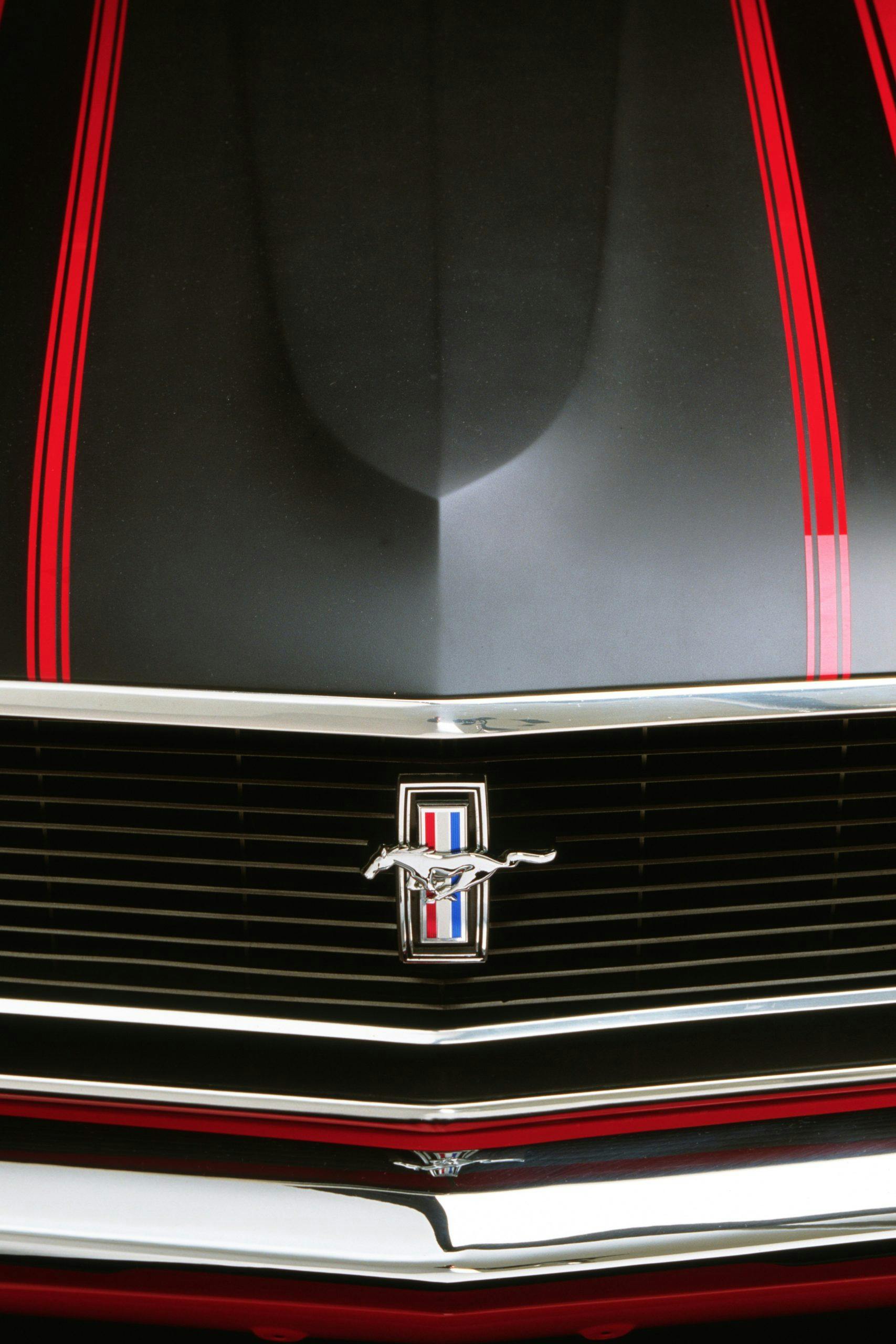 1970 Ford Mustang Mach 1 Grille
