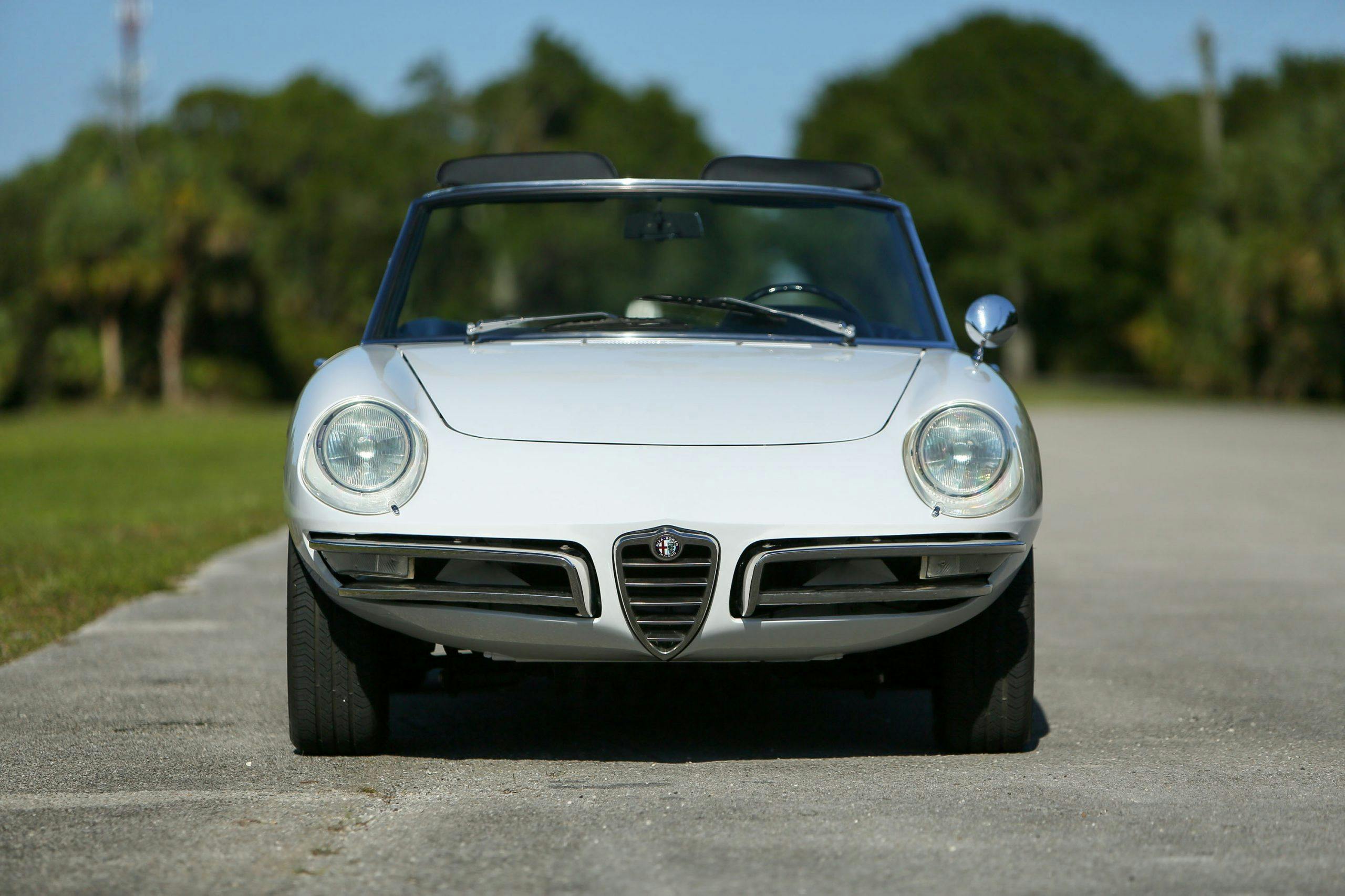 967 Alfa Romeo 1600 'Duetto' Spider front