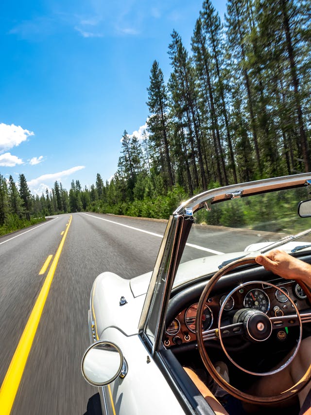 Sunbeam Tiger Open Road Action Vertical