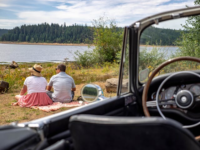 Sunbeam Tiger Sitting By Lake