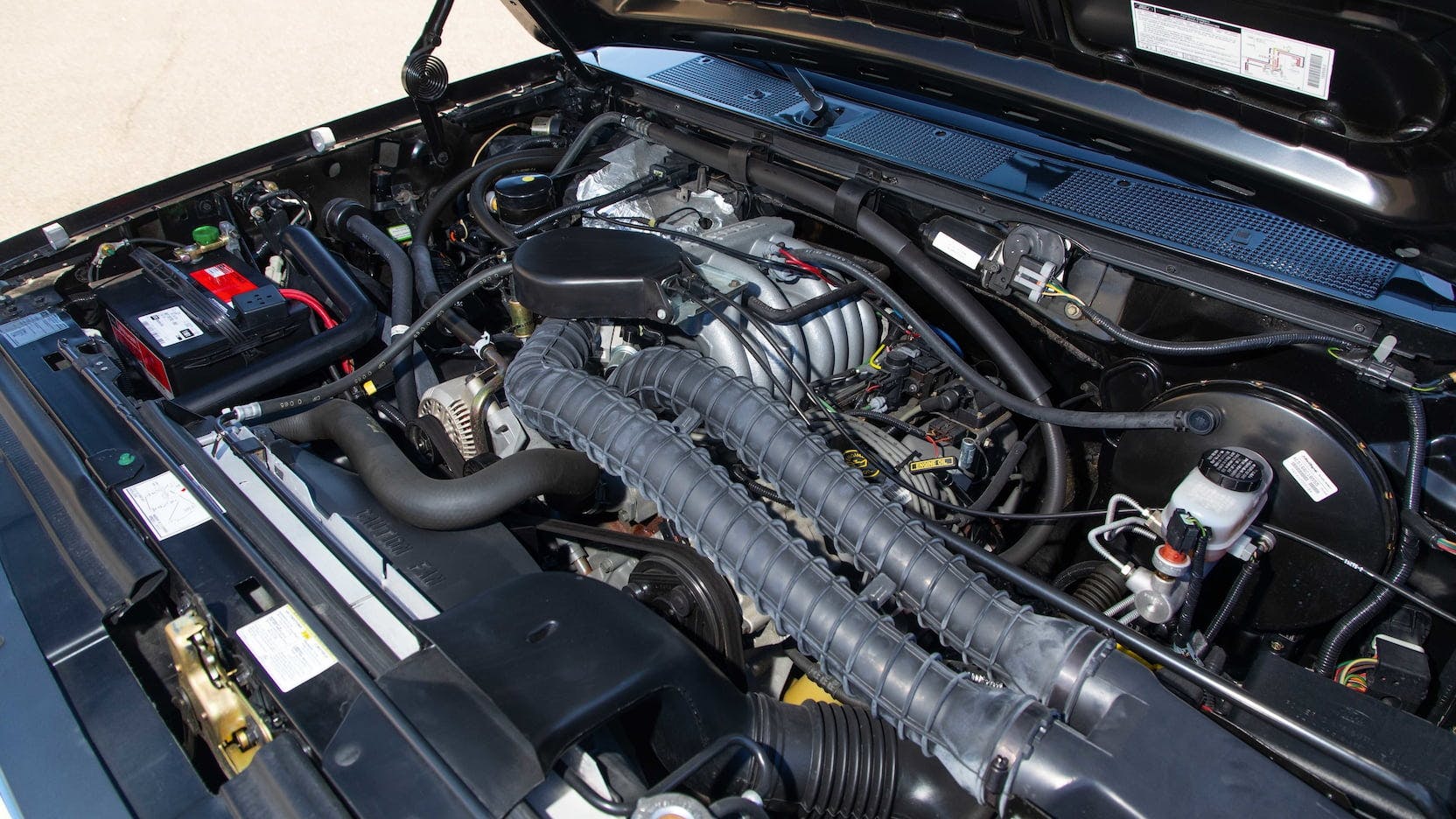 1995 Ford Bronco XLT Engine