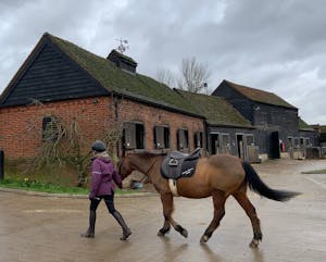 Barn Find Hunter UK - Horse farm