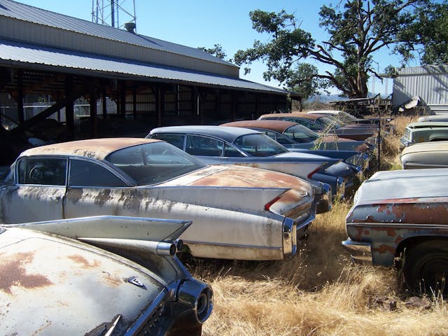 old vintage cadillac fins in field