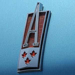 Acadian Canso Hood emblem