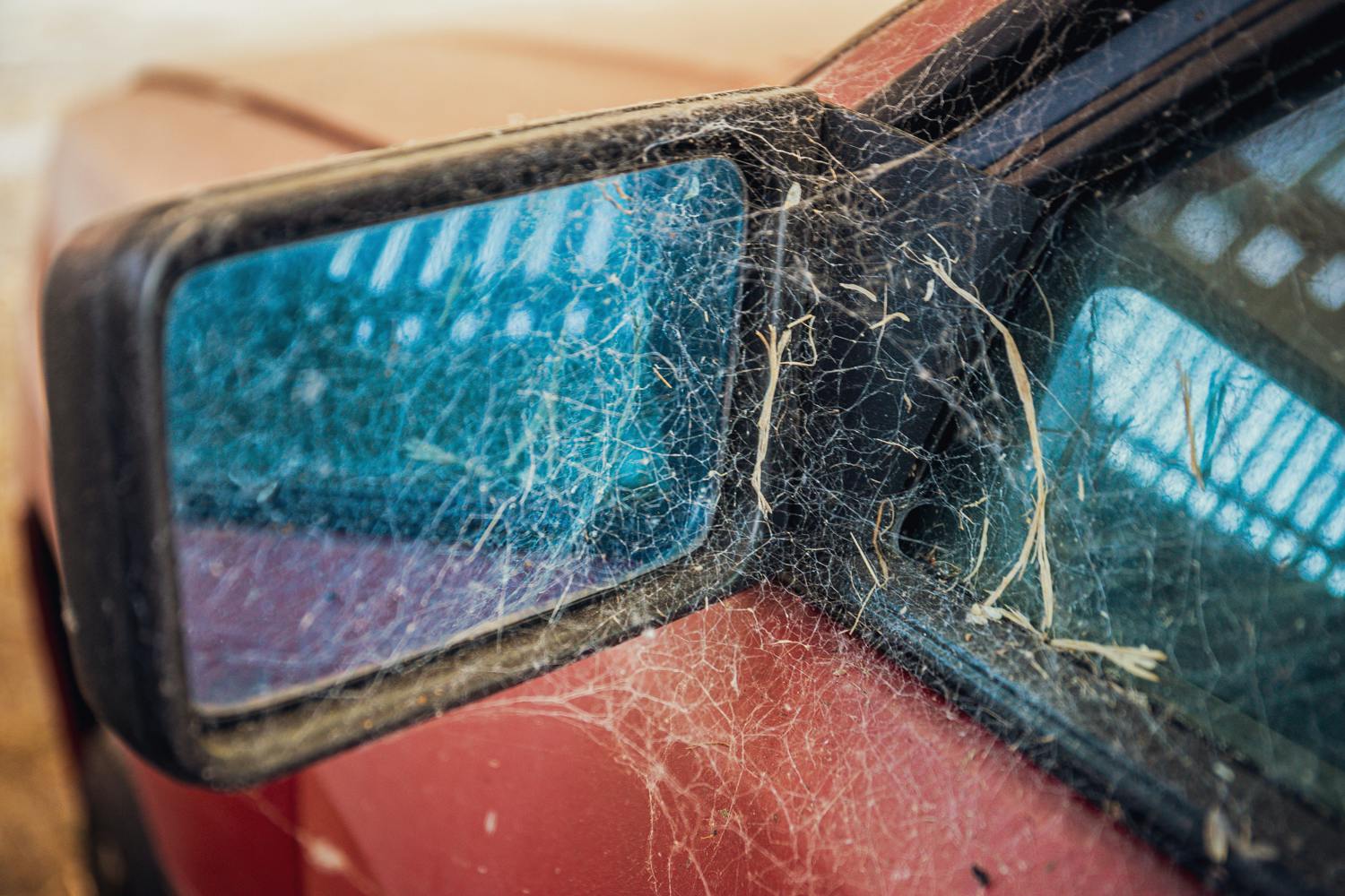 Audi Quattro barn find side mirror spider cobweb detail
