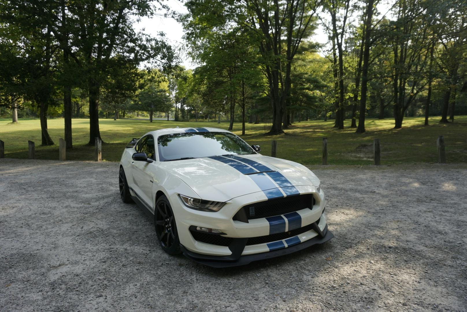 2020-Shelby-GT350R-Heritage-Edition front three quarter