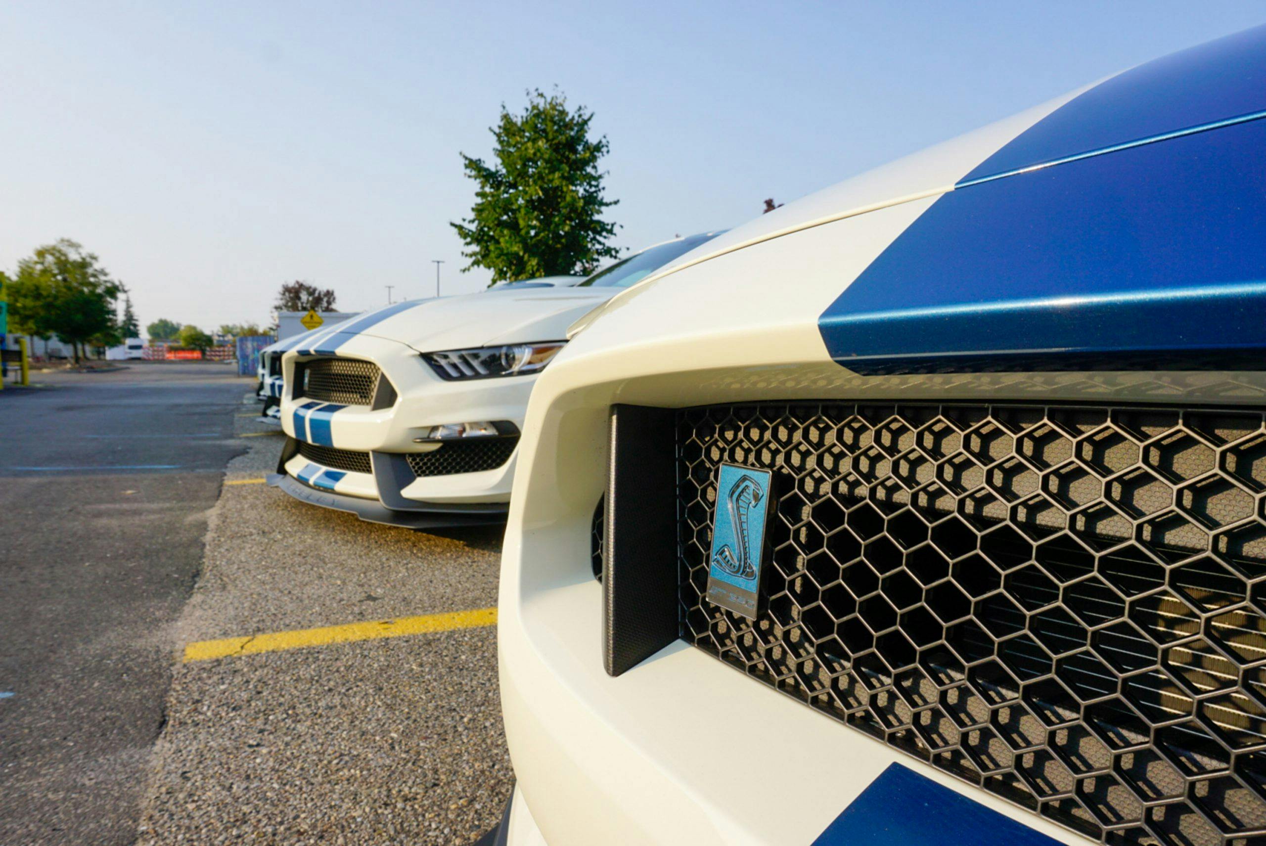 2020-Shelby-GT350R-Heritage-Edition-EW2-badge
