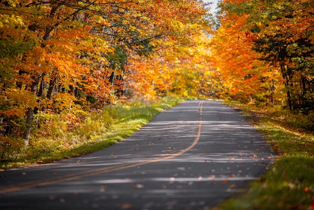 fall color trees michigan upper peninsula