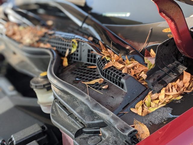 Cleaning under car hood