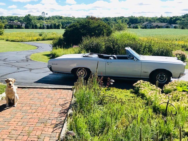 GTO side profile in drive