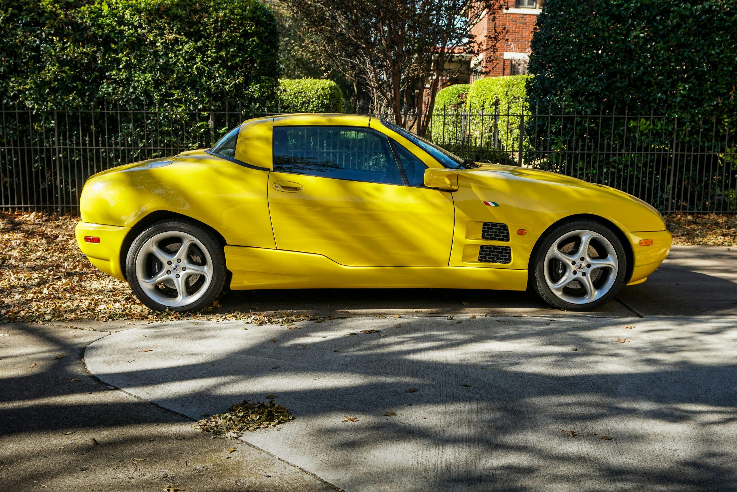 Toly Arutunoff Qvale Mangusta profile