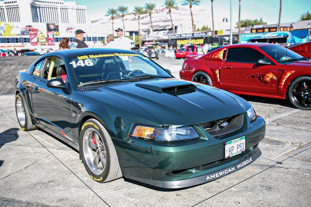 New Edge Mustang New Edge Mustang