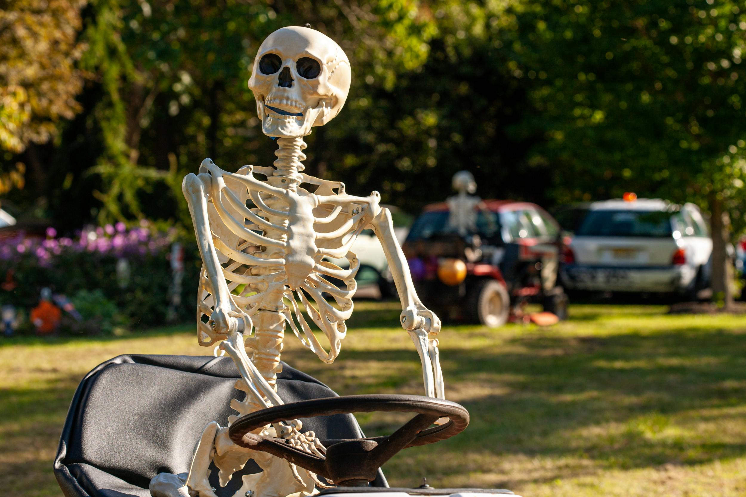 skeleton bones on riding lawn mower close