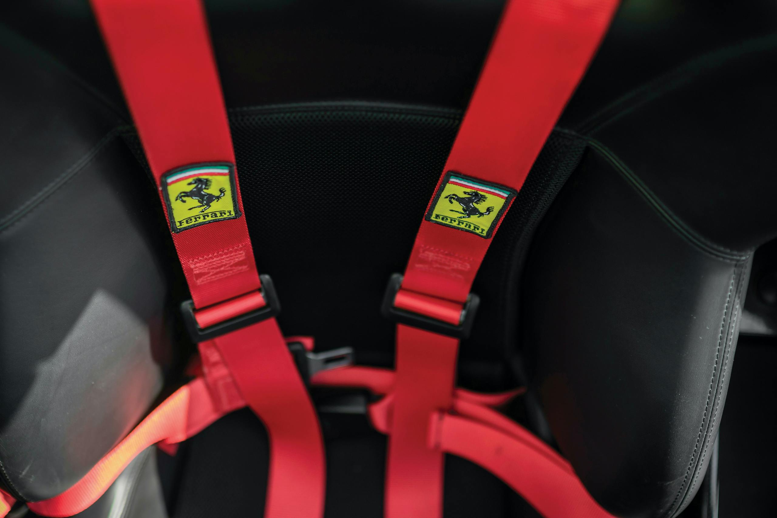 2003 Ferrari Enzo seatbelt harness detail