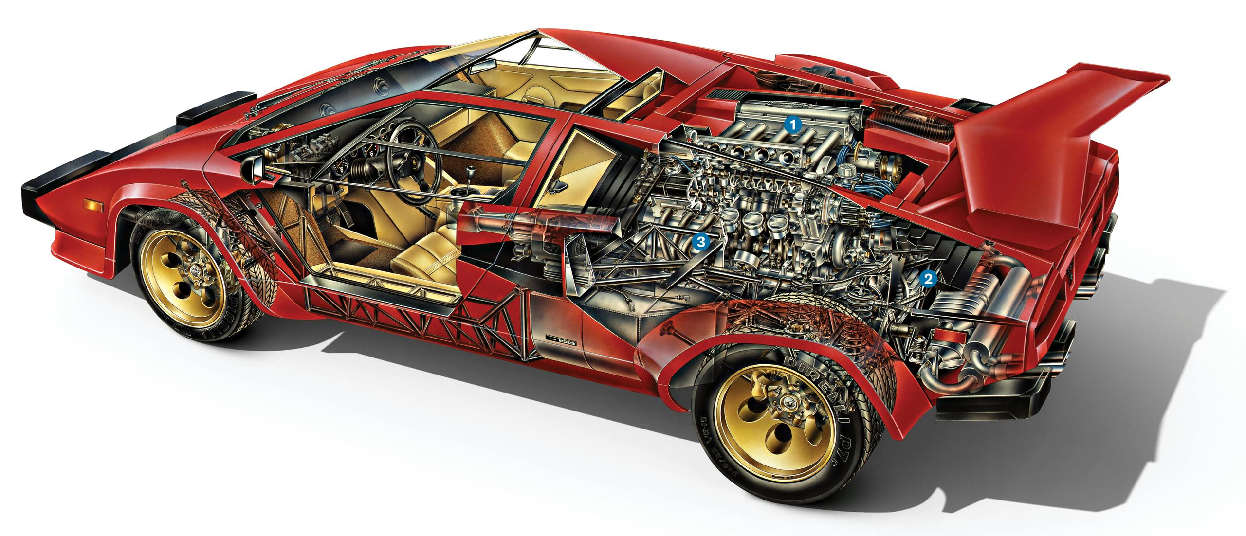 Ferruccio V12 Lamborghini Engine countach transparent graphic