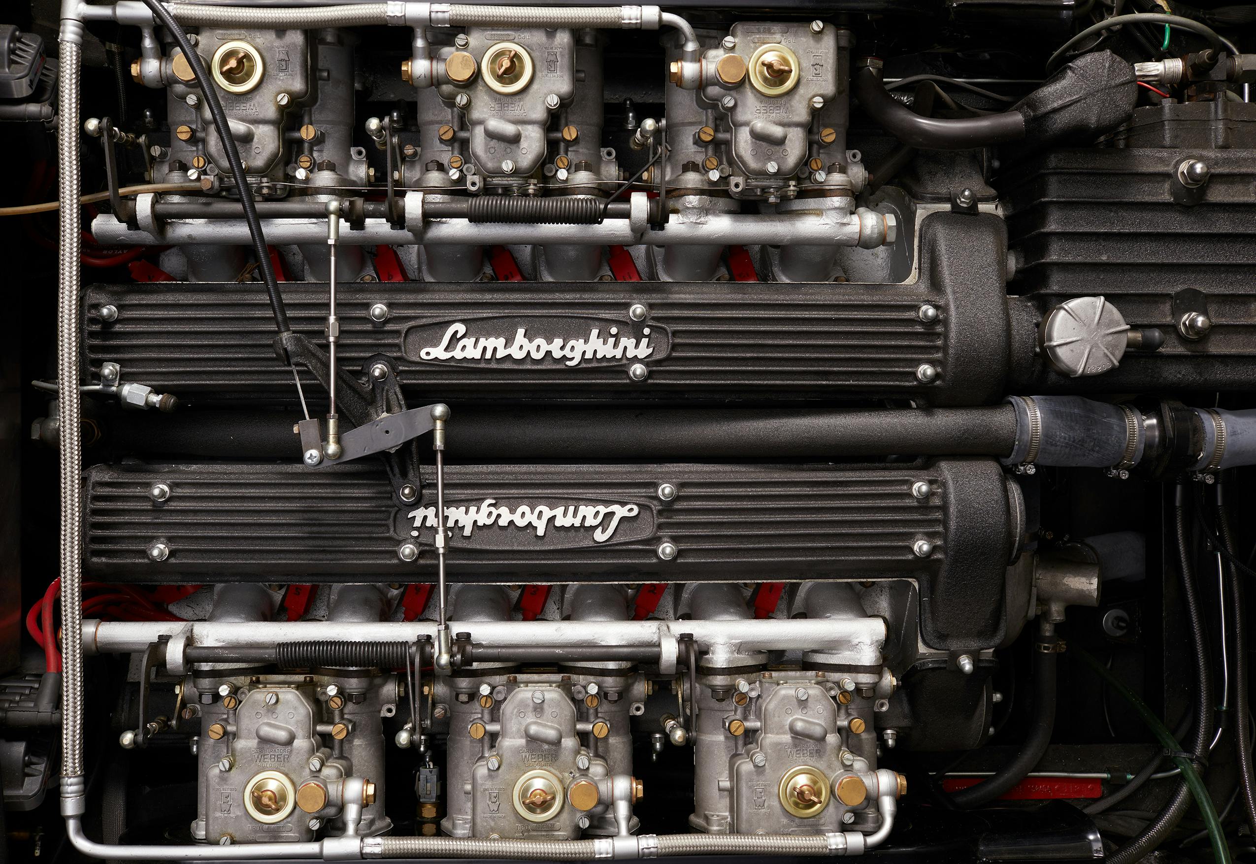 Ferruccio V12 Lamborghini Engine top overhead detail
