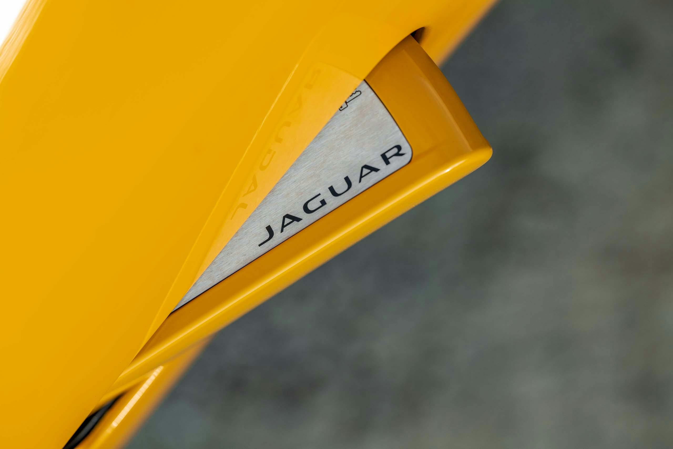 2021 Jaguar F-TYPE_R Coupe door handle detail