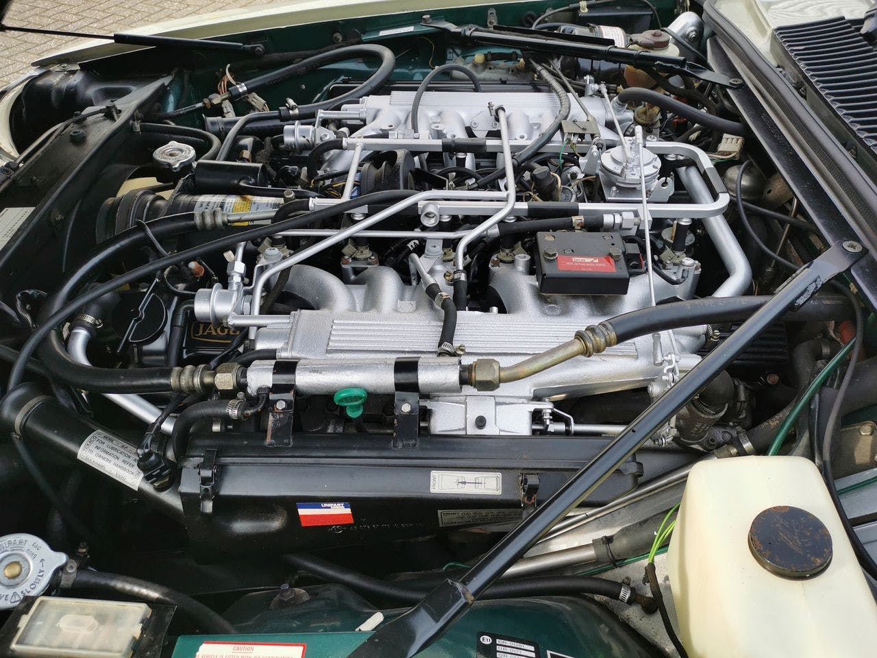 1983 Lynx Eventer engine