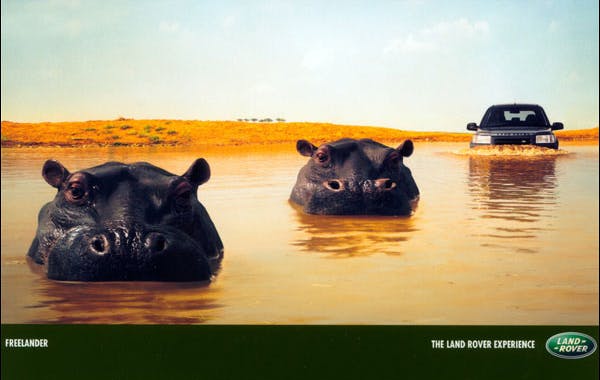 Land Rover hippos vintage ad