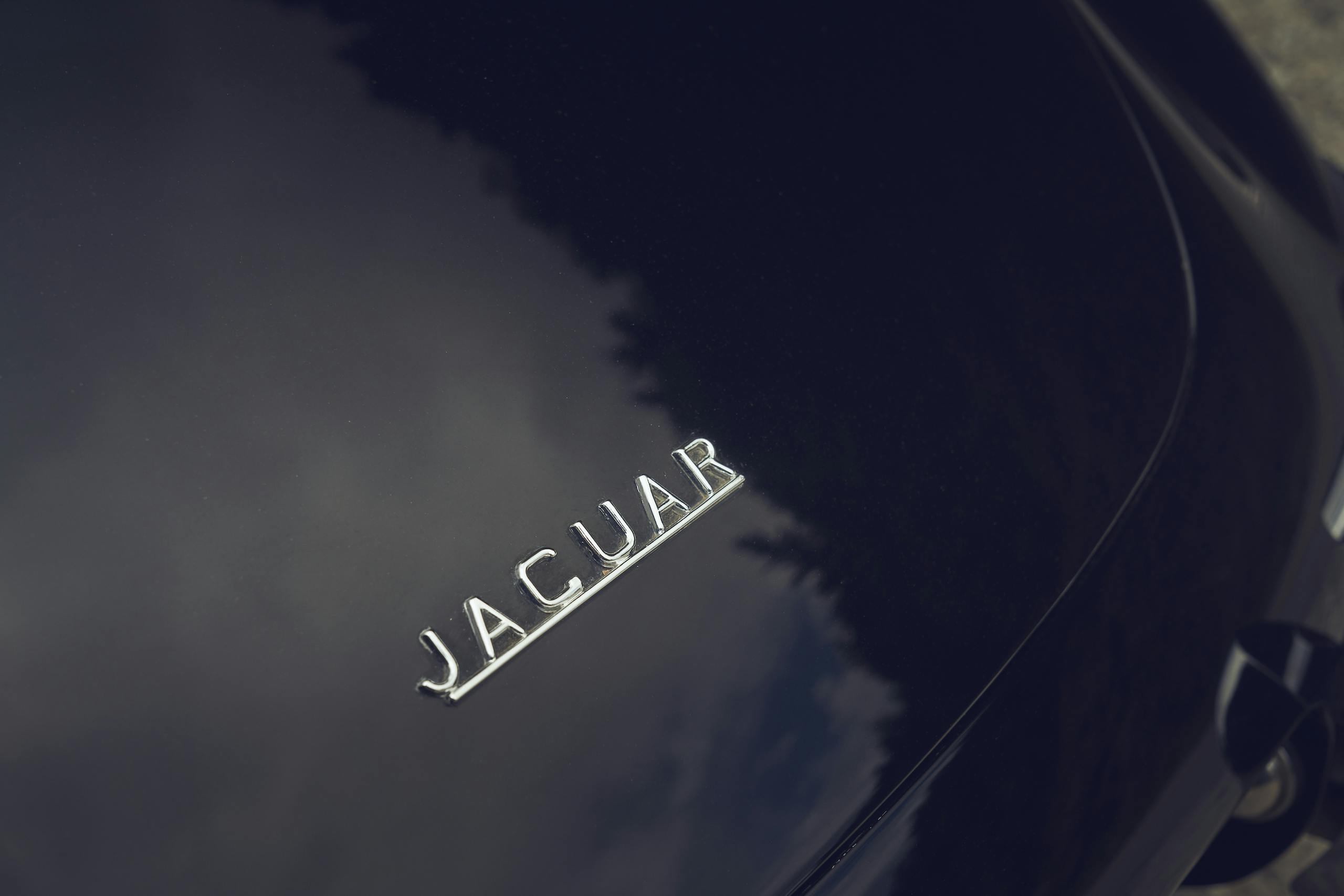 Jaguar E-Type rear badging letters