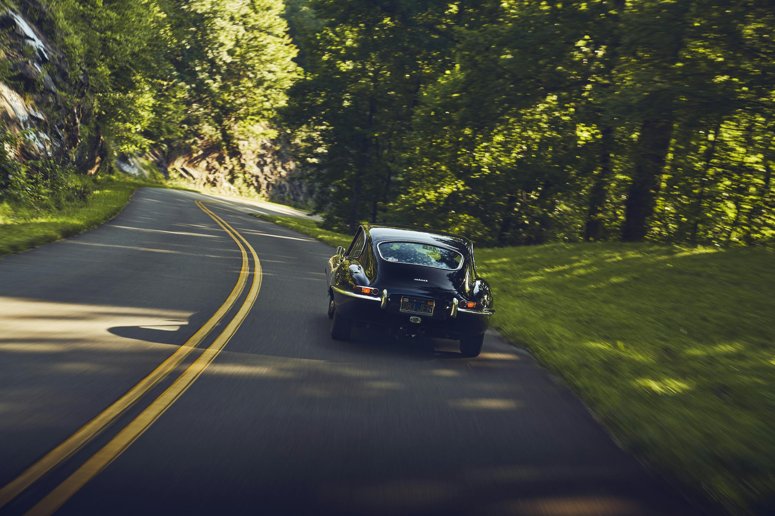 Jaguar E-Type rear action