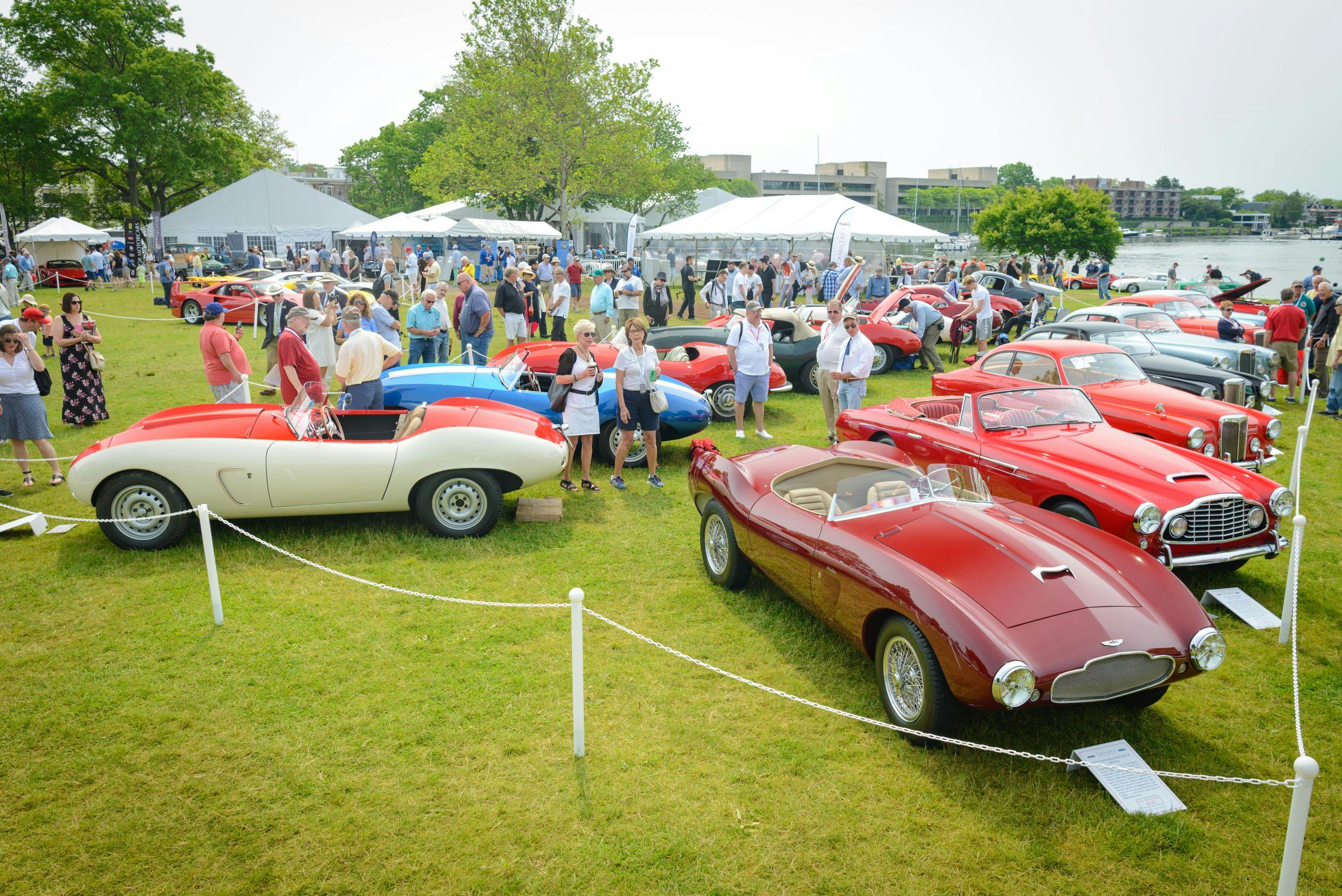 Greenwich concours grounds