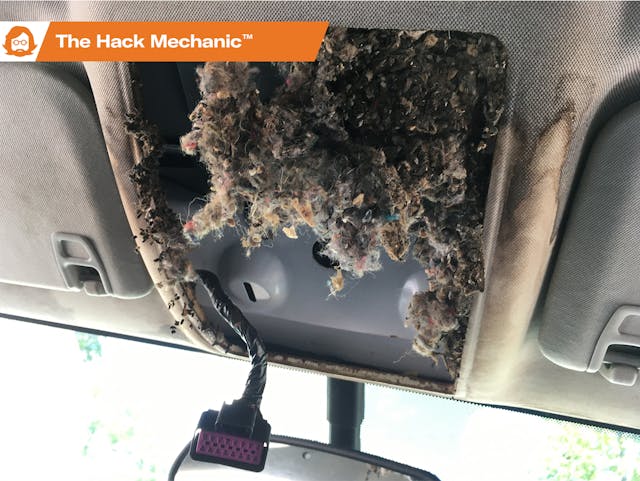 Hack_Mech_Mouse_Damage_Lead