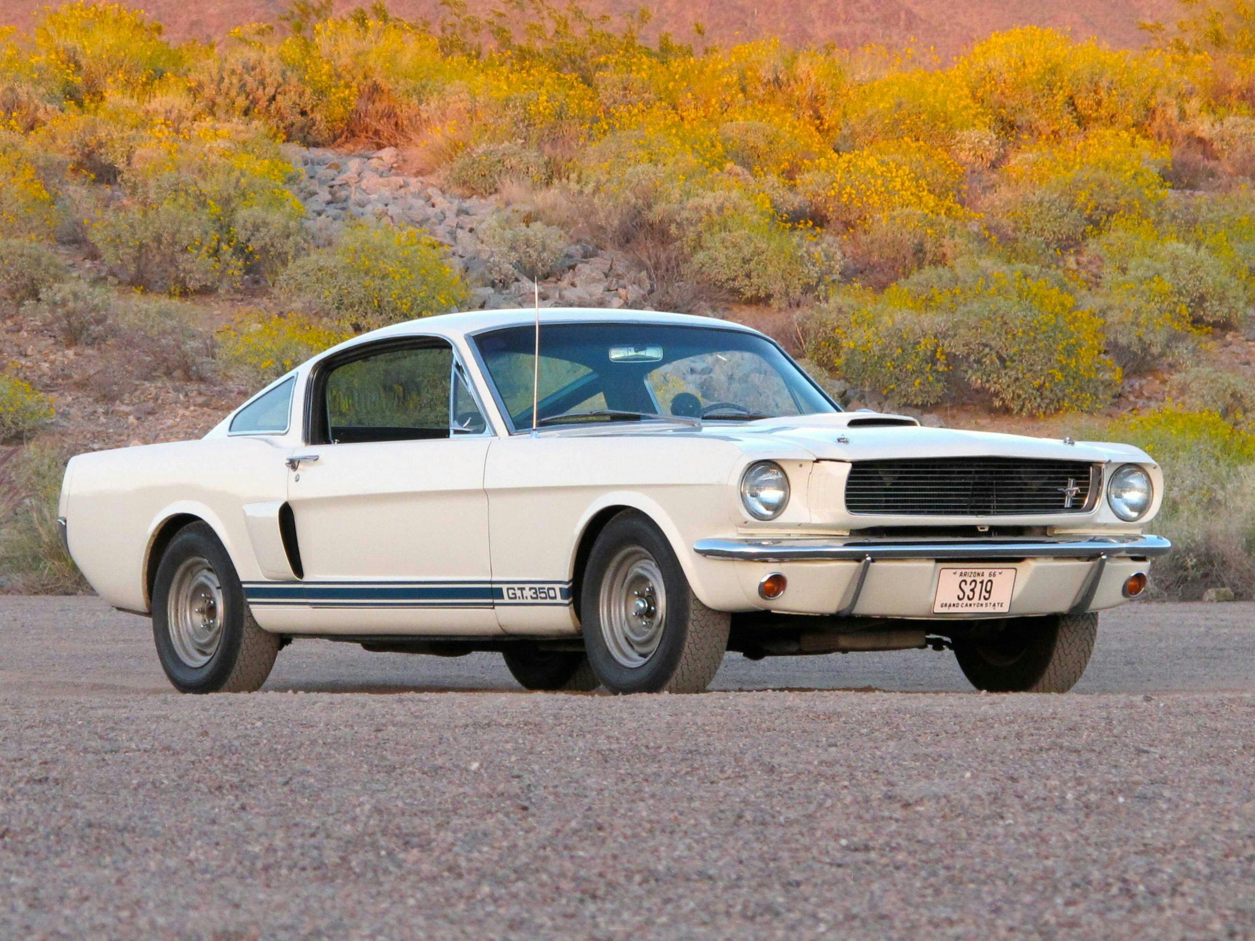 A Brief History of Shelby Cars
