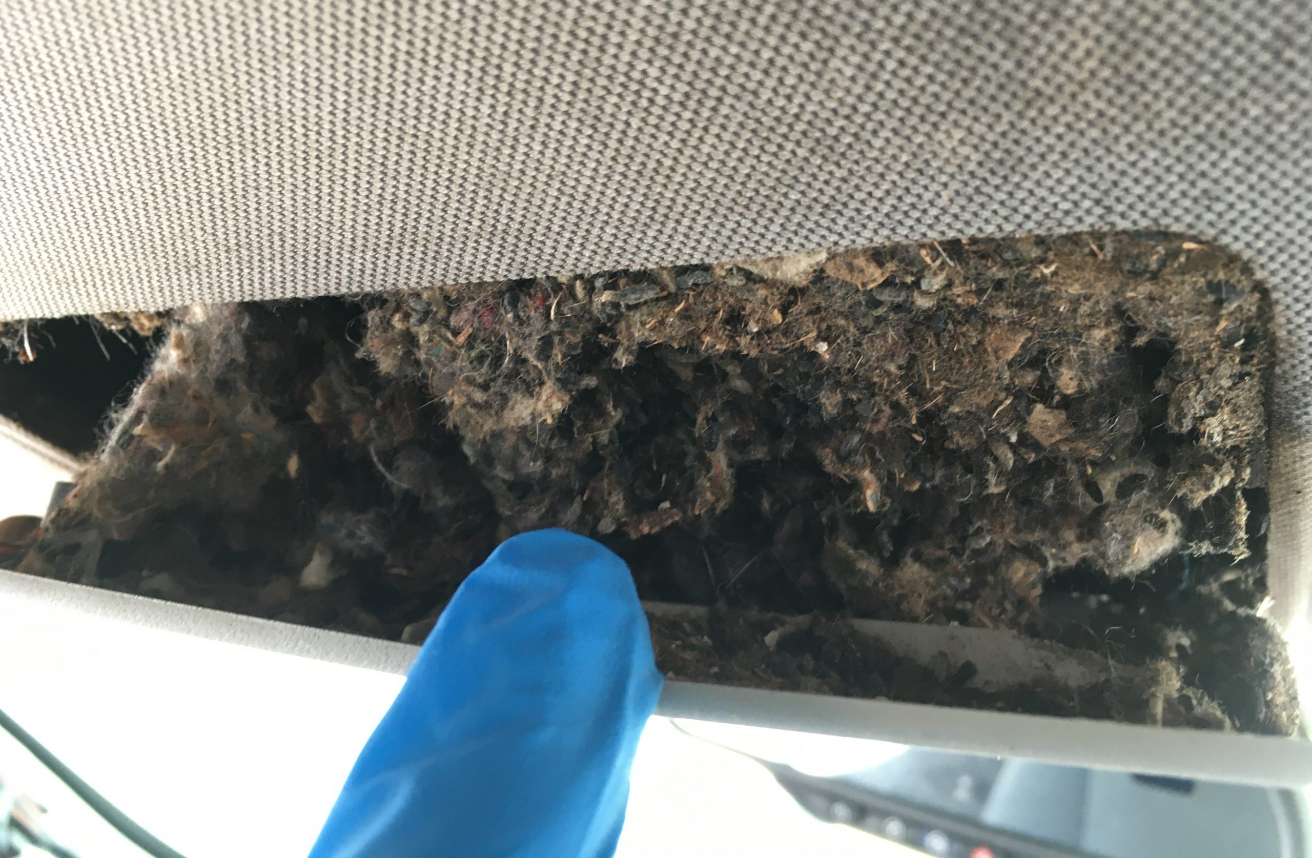 The mouse-infested truck, Part 2: Warning … This is disgusting ...