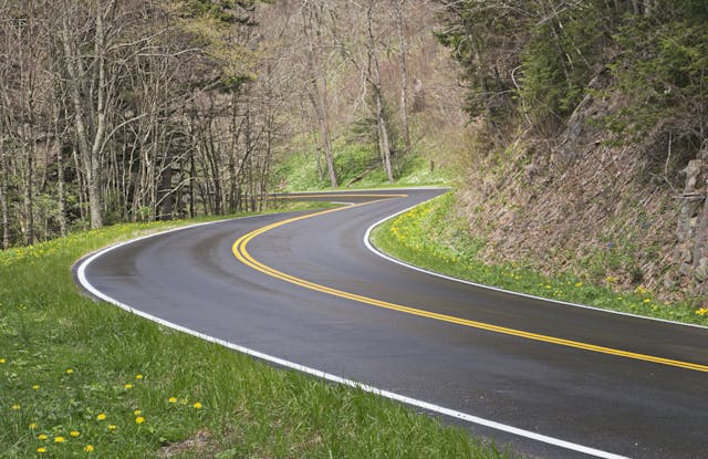 Smoky Mountain Road Curve