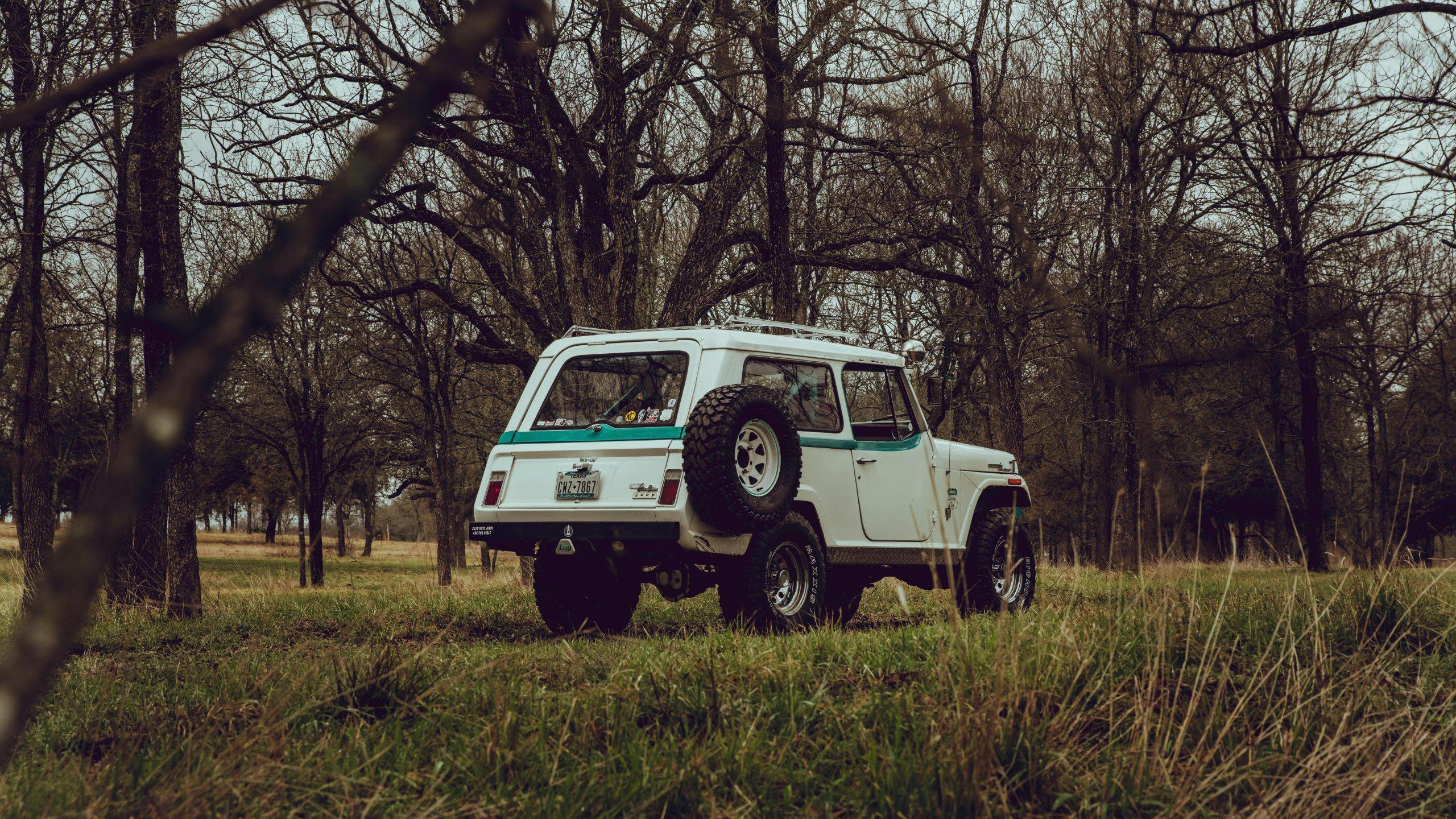Kate Cook's 1966 Jeepster Command
