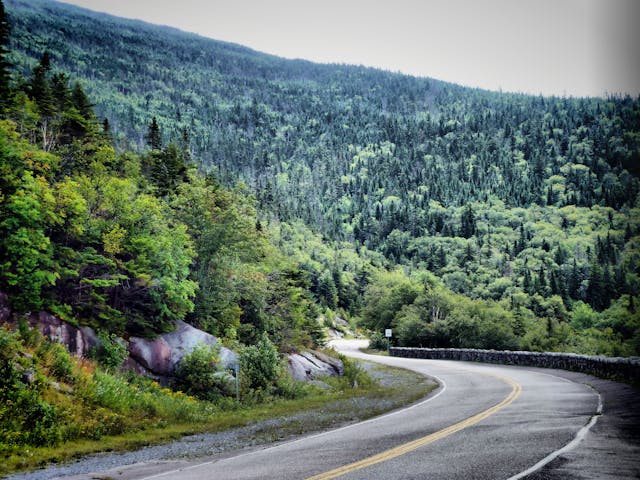 Road to Whiteface