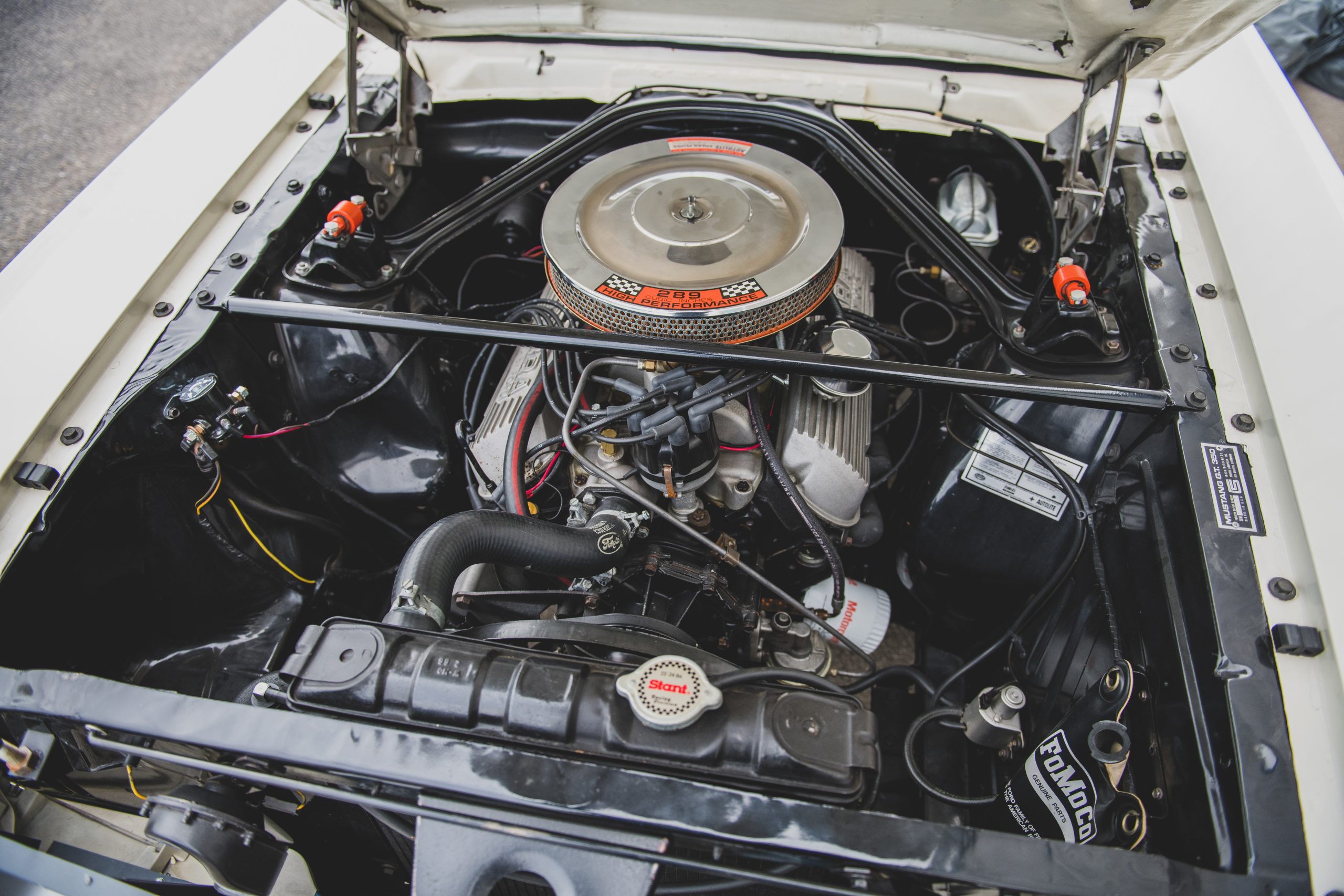 Your handy 1965-66 Shelby GT350 buyer's guide - Hagerty Media