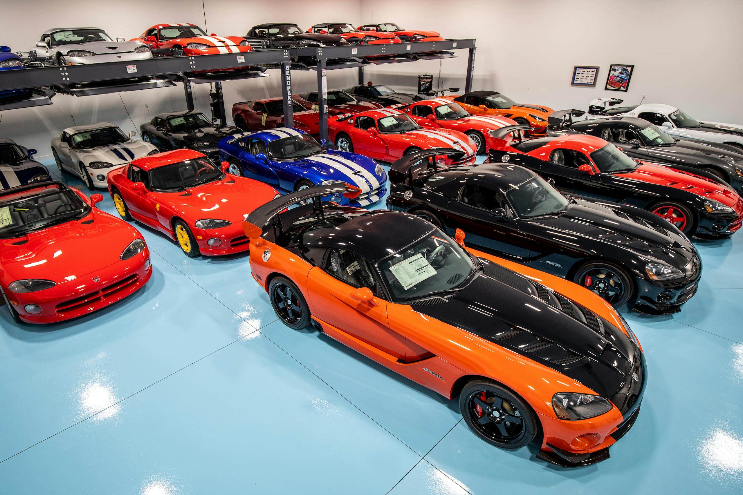 Viper collection wide