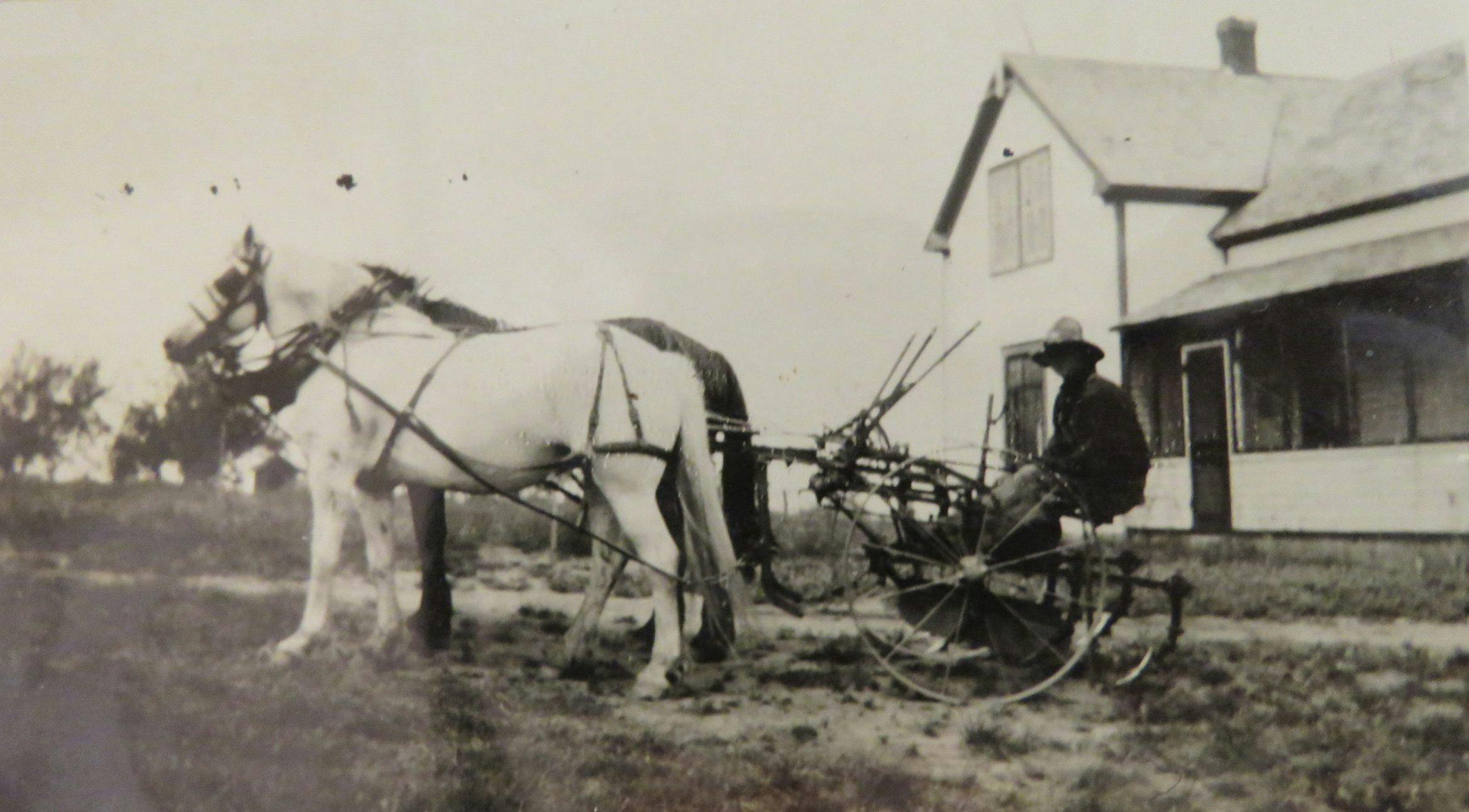 Vanderbrink - Krinke Collection - old pic of farming with horses