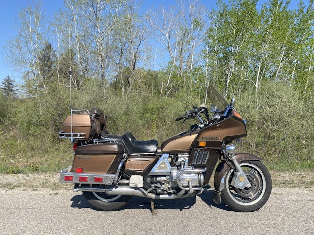 goldwing right side