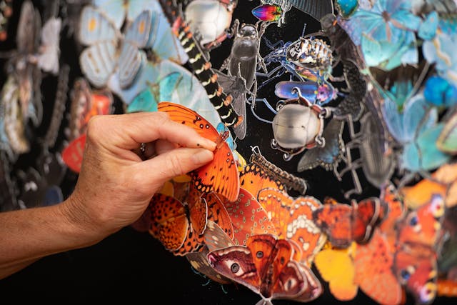 Artist pins butterfly detail