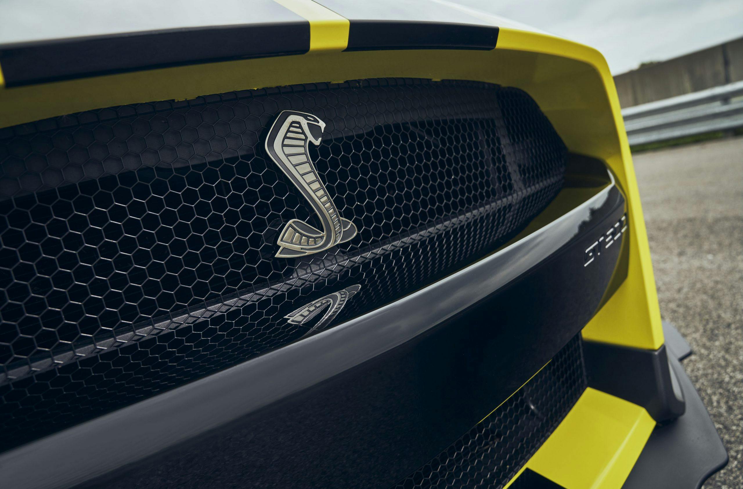 2021 Ford Mustang Shelby GT500 grille detail