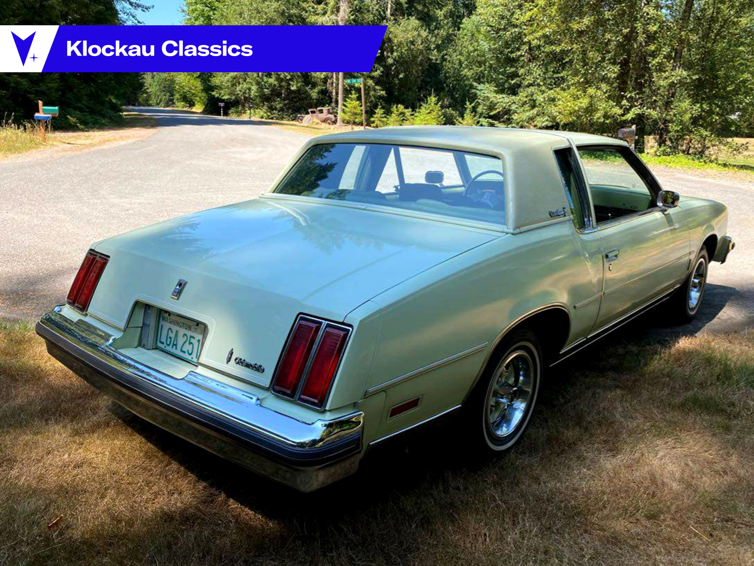 Successfully Slimmed 1979 Oldsmobile Cutlass Supreme Brougham