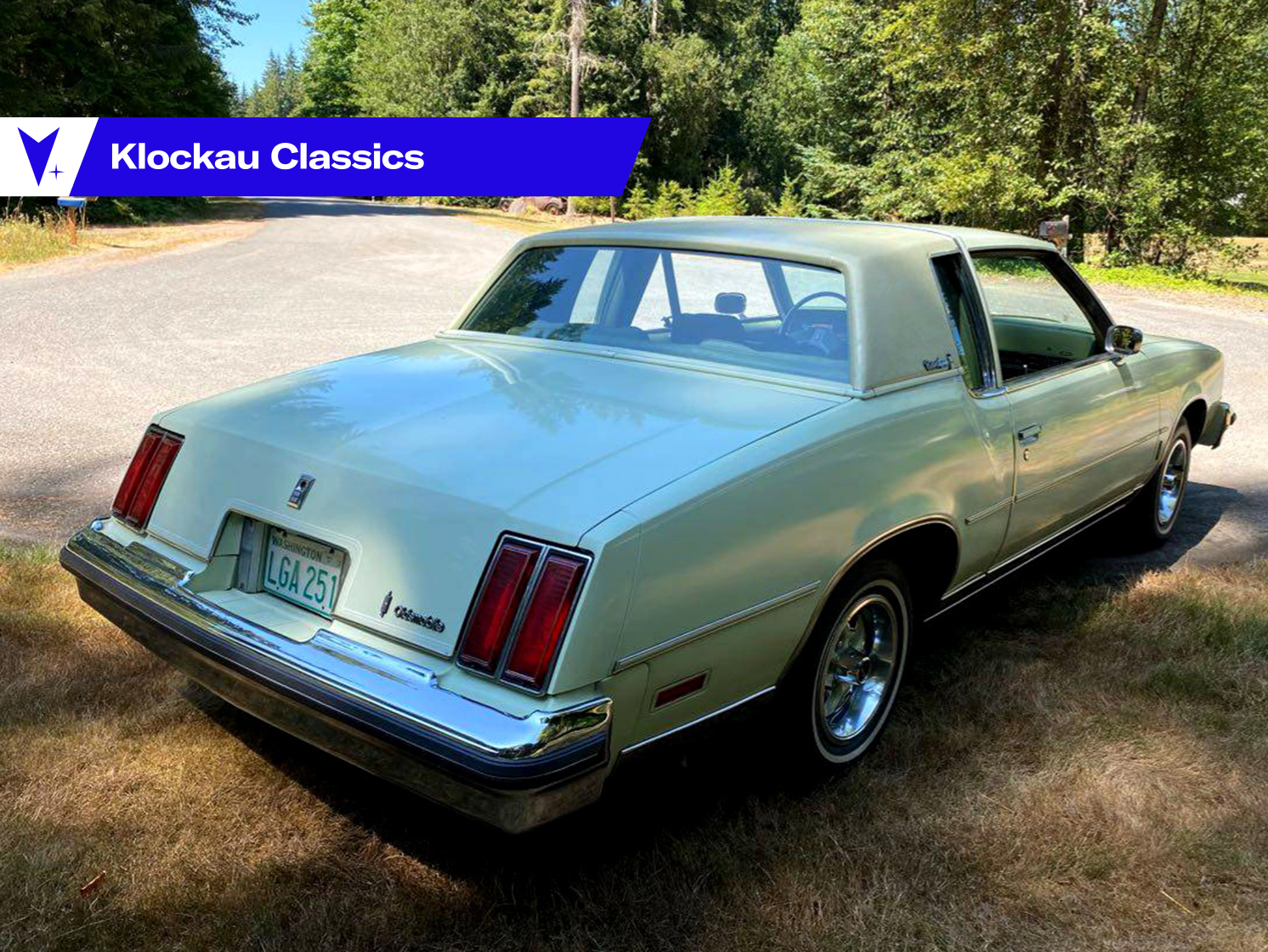 Successfully Slimmed 1979 Oldsmobile Cutlass Supreme Brougham