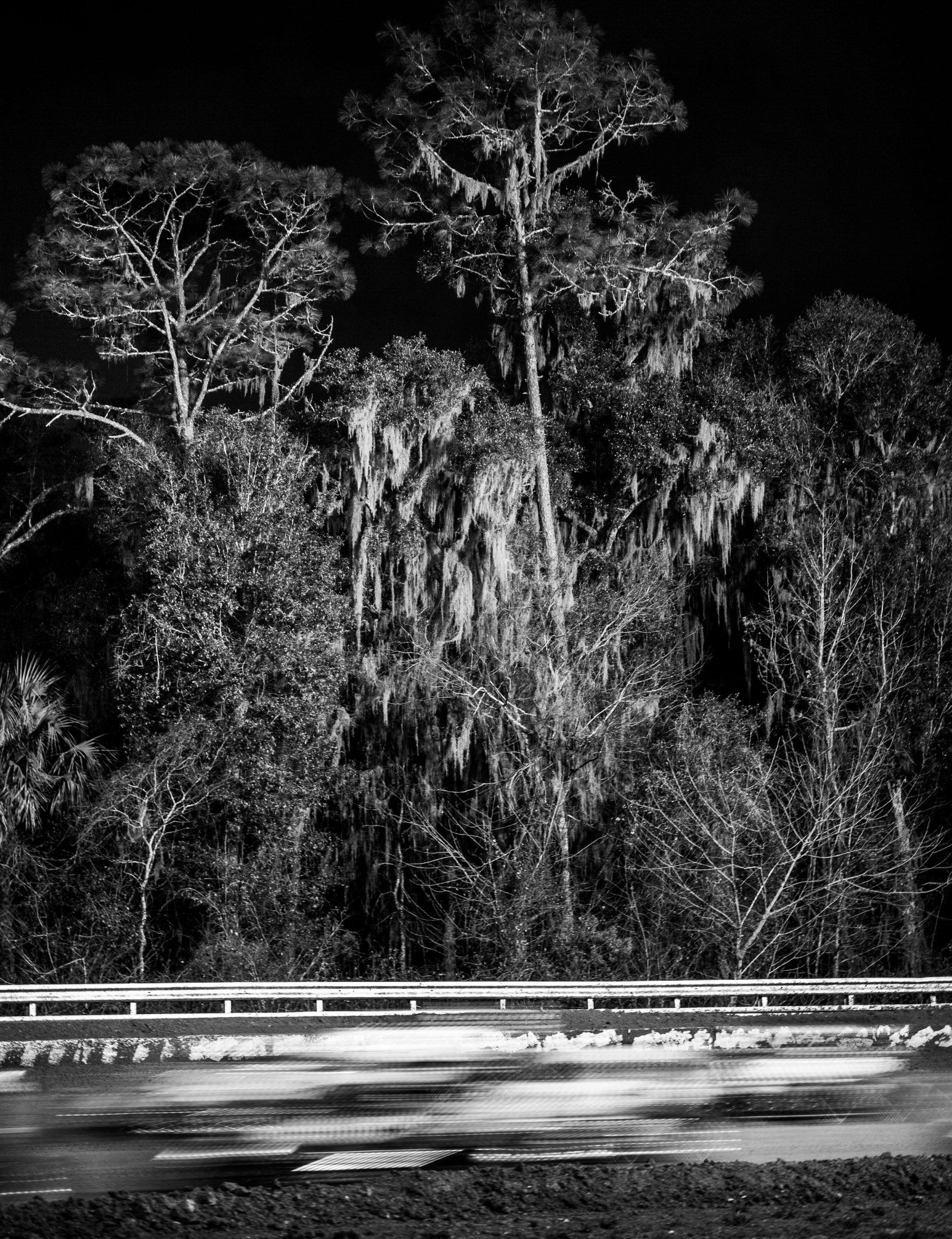 Grassroots racing blur action florida moss trees vertical black white