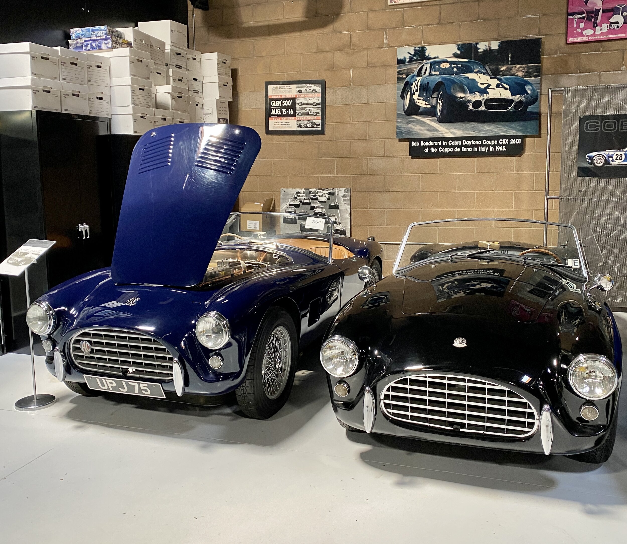 Superstars And Stripes: A Stroll Through The Shelby American Collection ...