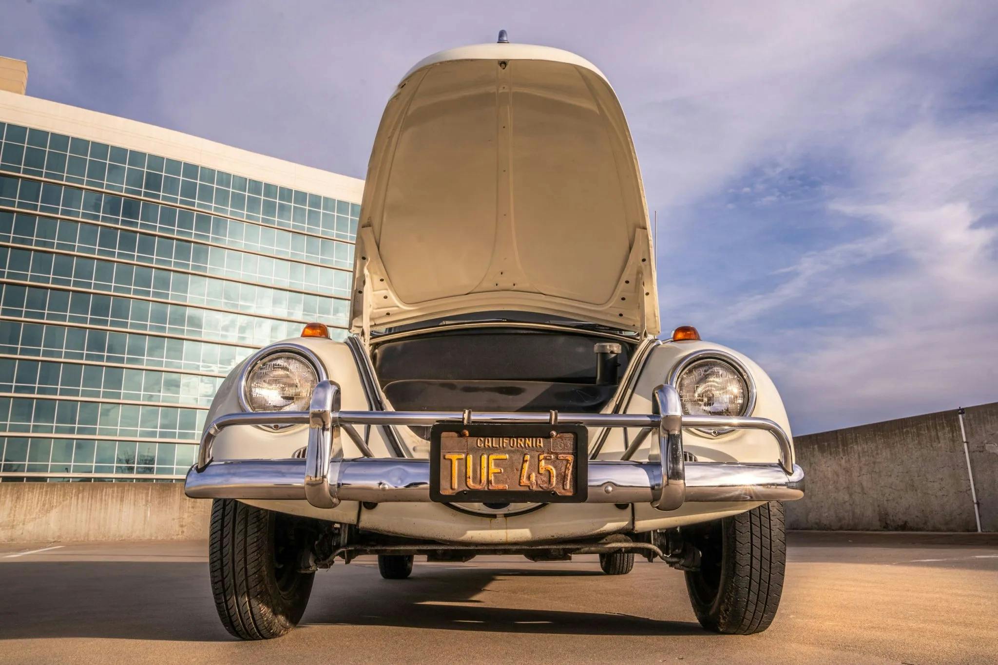 Volkswagen New Beetle squashed but not forgotten - Hagerty Media