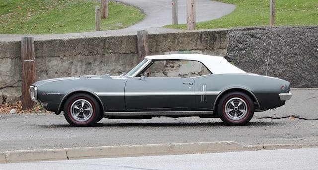 Pontiac FIrebird HO Solid Stripe