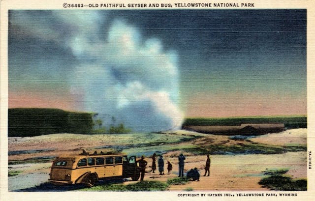 Yellowstone bus postcard - Old Faithful