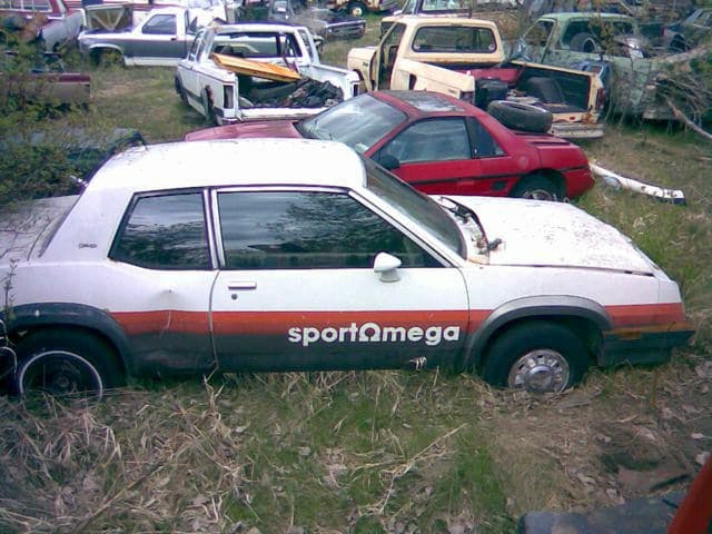 Rare 1981 Olds SportOmega