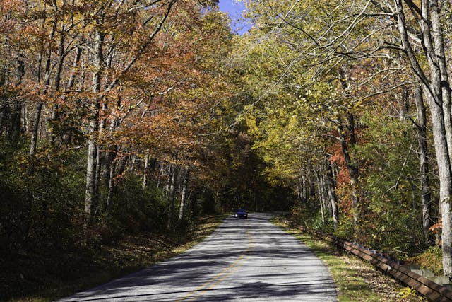 porsche in pigsah national forest road