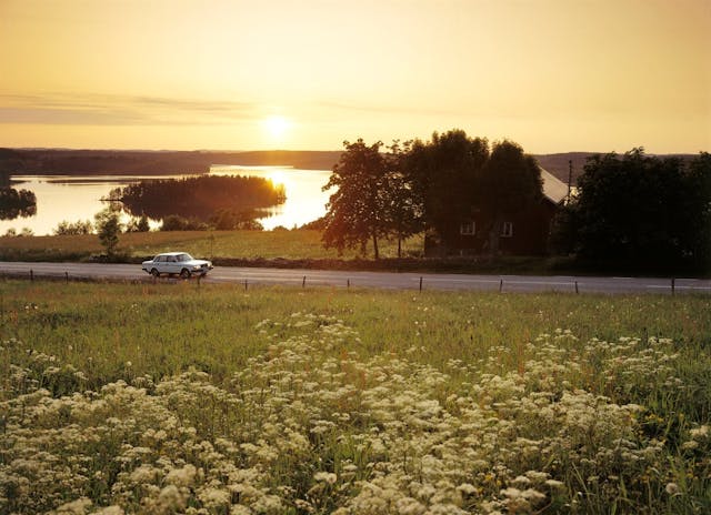 Volvo sunny wildflower fields