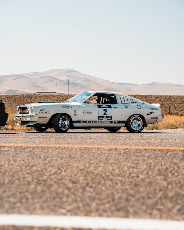 Mustang on the road