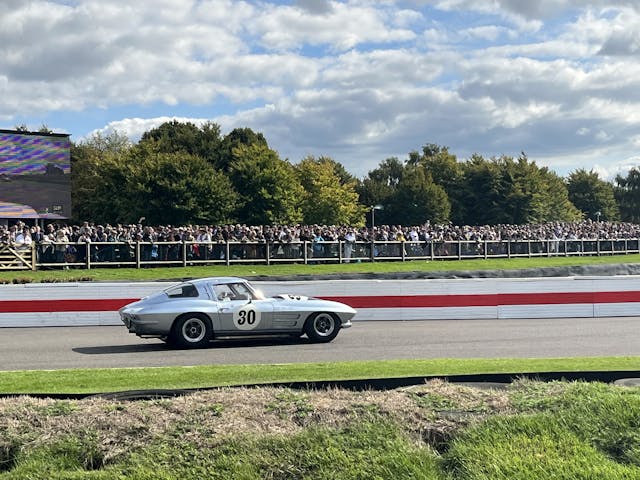 racing stingrays goodwood